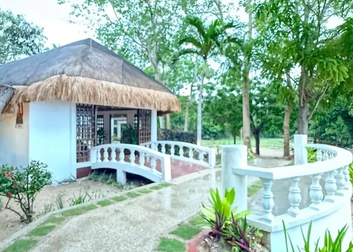 Anaya 3*